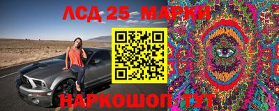эйфоретик Жуковский